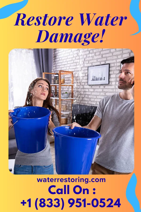 water restoration Sentinel Drying LLC Pelham